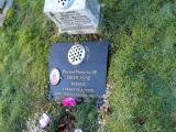 image of grave number 282513